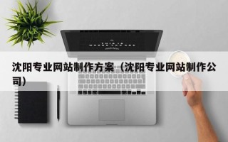 中卫沈阳专业网站制作方案（沈阳专业网站制作公司）